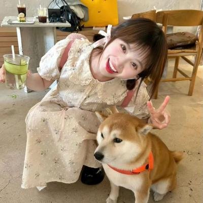我的狗是杀手