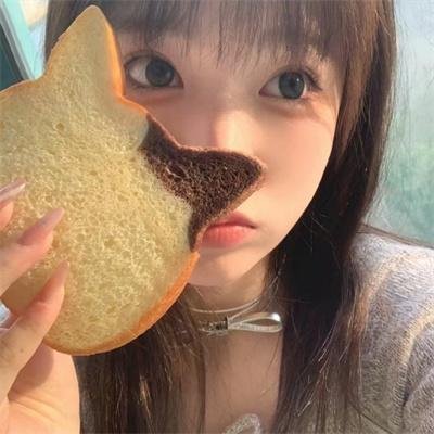 鹿枫堂四色日和2022
